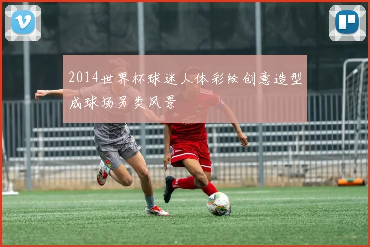 2014世界杯球迷人体彩绘创意造型成球场另类风景