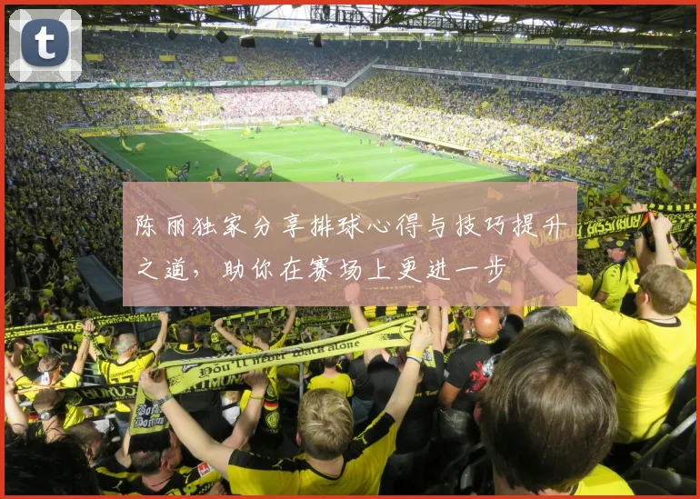 陈丽独家分享排球心得与技巧提升之道，助你在赛场上更进一步